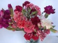 Chabaud Carnation